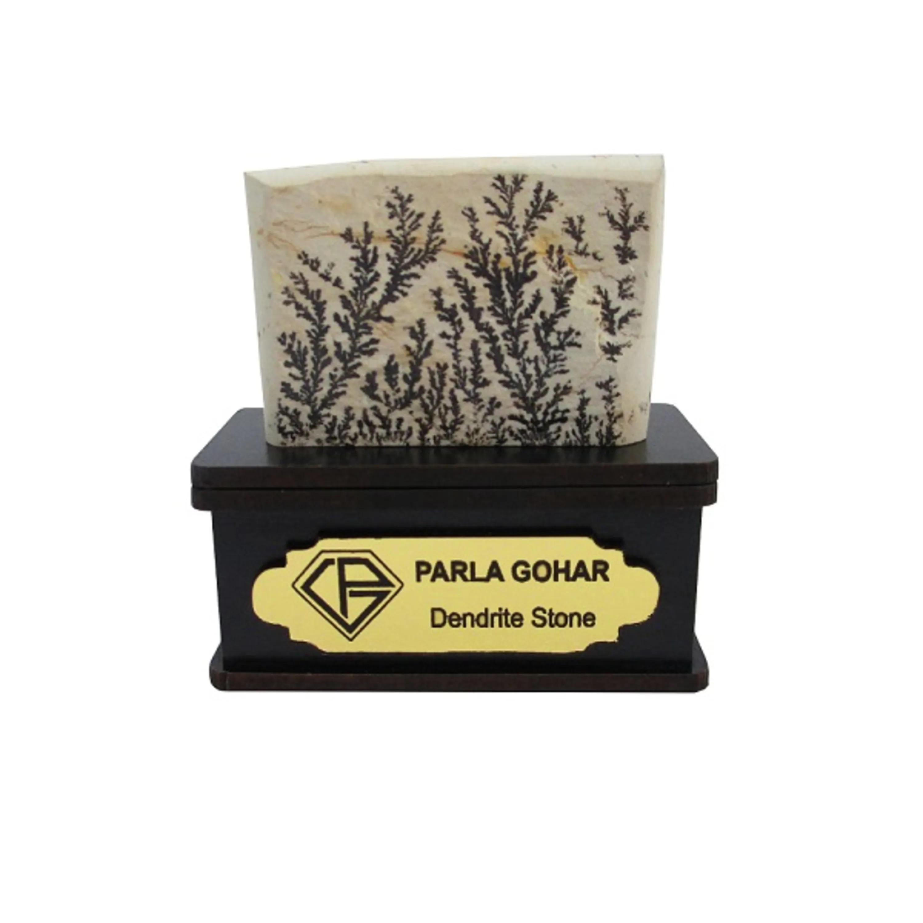 شجر راف کد 2335